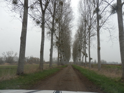  <a style='color: #fff;' href='/uploaded/photo/-516331a92585a.jpg'>(Télécharger)</a>