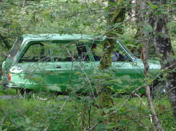  <a style='color: #fff;' href='/uploaded/photo/19eme-rencontre-berry-deuche-577ad33636f44.jpg'>(Télécharger)</a>