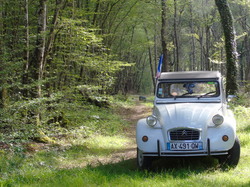  <a style='color: #fff;' href='/uploaded/photo/19eme-rencontre-berry-deuche-577ad34177d98.jpg'>(Télécharger)</a>