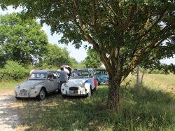  <a style='color: #fff;' href='/uploaded/photo/20-ans-berry-deuche-559d5fe0e8c72.jpg'>(Télécharger)</a>