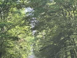  <a style='color: #fff;' href='/uploaded/photo/24y-me-rencontre-berry-deuche-68596af5d19ee.jpg'>(Télécharger)</a>