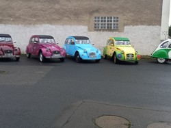  <a style='color: #fff;' href='/uploaded/photo/balade-automne-68597394e57f5.jpg'>(Télécharger)</a>