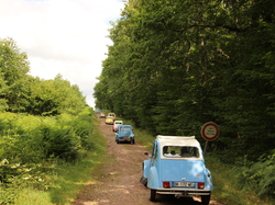  <a style='color: #fff;' href='/uploaded/photo/concentration-berydeuche-2014-53bb0b67097c3.jpg'>(Télécharger)</a>