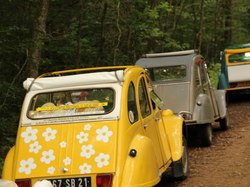  <a style='color: #fff;' href='/uploaded/photo/concentration-berydeuche-2014-53bb0b76ccc7c.jpg'>(Télécharger)</a>