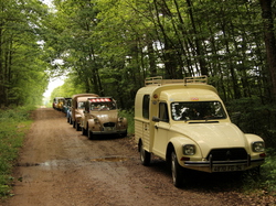  <a style='color: #fff;' href='/uploaded/photo/concentration-berydeuche-2014-53bb0b8475a5d.jpg'>(Télécharger)</a>