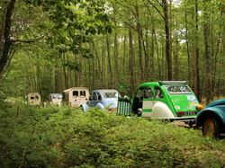  <a style='color: #fff;' href='/uploaded/photo/concentration-berydeuche-2014-53bb0b8b63f75.jpg'>(Télécharger)</a>