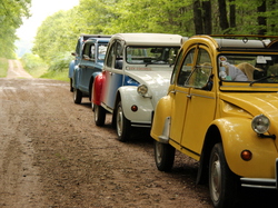  <a style='color: #fff;' href='/uploaded/photo/concentration-berydeuche-2014-53bb0b8eac8af.jpg'>(Télécharger)</a>