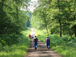  <a style='color: #fff;' href='/uploaded/photo/concentration-berydeuche-2014-53bb0babd978e.jpg'>(Télécharger)</a>