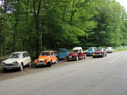  <a style='color: #fff;' href='/uploaded/photo/concentration-berydeuche-2014-53bb0bc303018.jpg'>(Télécharger)</a>