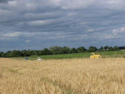  <a style='color: #fff;' href='/uploaded/photo/concentration-berydeuche-2014-53bb0bf02ab4a.jpg'>(Télécharger)</a>