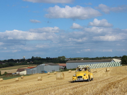  <a style='color: #fff;' href='/uploaded/photo/concentration-berydeuche-2014-53bb0c10e340d.jpg'>(Télécharger)</a>