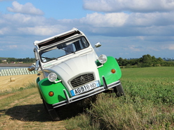  <a style='color: #fff;' href='/uploaded/photo/concentration-berydeuche-2014-53bb0c2488146.jpg'>(Télécharger)</a>