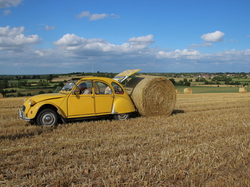  <a style='color: #fff;' href='/uploaded/photo/concentration-berydeuche-2014-53bb0c254f223.jpg'>(Télécharger)</a>