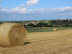  <a style='color: #fff;' href='/uploaded/photo/concentration-berydeuche-2014-53bb0c2c873d9.jpg'>(Télécharger)</a>