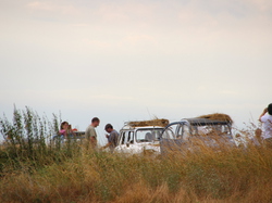  <a style='color: #fff;' href='/uploaded/photo/concentration-berydeuche-2014-53bb0cfa544fe.jpg'>(Télécharger)</a>