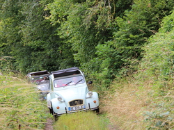  <a style='color: #fff;' href='/uploaded/photo/concentration-berydeuche-2014-53bb0d06be687.jpg'>(Télécharger)</a>