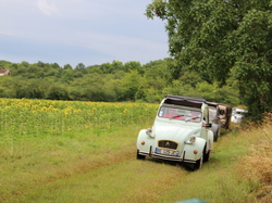  <a style='color: #fff;' href='/uploaded/photo/concentration-berydeuche-2014-53bb0d075bc35.jpg'>(Télécharger)</a>