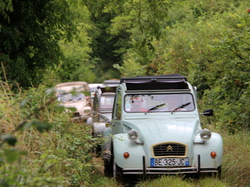  <a style='color: #fff;' href='/uploaded/photo/concentration-berydeuche-2014-53bb0d0a31b1b.jpg'>(Télécharger)</a>