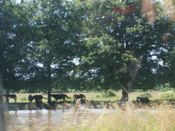  <a style='color: #fff;' href='/uploaded/photo/concentration-charenton-5-6-7-juillet-2013-51ddd2072e2ef.jpg'>(Télécharger)</a>