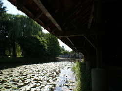  <a style='color: #fff;' href='/uploaded/photo/concentration-charenton-5-6-7-juillet-2013-51ddd2a632889.jpg'>(Télécharger)</a>