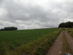  <a style='color: #fff;' href='/uploaded/photo/concentre-2017-595ab88052075.jpg'>(Télécharger)</a>