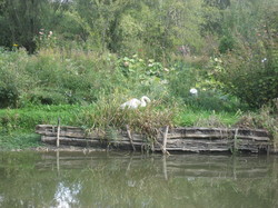  <a style='color: #fff;' href='/uploaded/photo/mission-impossible-5d9b0dcd63ffb.jpg'>(Télécharger)</a>