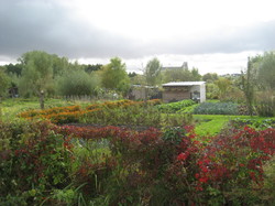  <a style='color: #fff;' href='/uploaded/photo/mission-impossible-5d9b0f823e940.jpg'>(Télécharger)</a>