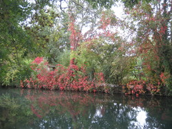  <a style='color: #fff;' href='/uploaded/photo/mission-impossible-5d9b1029acca7.jpg'>(Télécharger)</a>