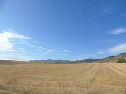  <a style='color: #fff;' href='/uploaded/photo/mondiale-ericeira-2017-598ead1b7fe0c.jpg'>(Télécharger)</a>