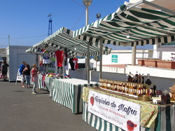  <a style='color: #fff;' href='/uploaded/photo/mondiale-ericeira-2017-598ead6cd229c.jpg'>(Télécharger)</a>