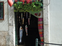  <a style='color: #fff;' href='/uploaded/photo/mondiale-ericeira-2017-598eae8107447.jpg'>(Télécharger)</a>