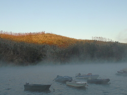  <a style='color: #fff;' href='/uploaded/photo/mondiale-ericeira-2017-598eaecf79def.jpg'>(Télécharger)</a>