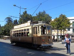  <a style='color: #fff;' href='/uploaded/photo/mondiale-ericeira-2017-598eaf180547b.jpg'>(Télécharger)</a>