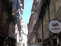  <a style='color: #fff;' href='/uploaded/photo/mondiale-ericeira-2017-598eaf57a7fe6.jpg'>(Télécharger)</a>