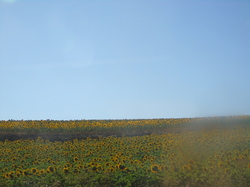  <a style='color: #fff;' href='/uploaded/photo/mondiale-ericeira-2017-598eaf8fe6ea5.jpg'>(Télécharger)</a>