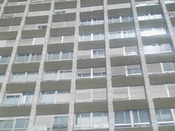  <a style='color: #fff;' href='/uploaded/photo/mondiale-ericeira-2017-598eb0151dd2b.jpg'>(Télécharger)</a>