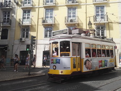  <a style='color: #fff;' href='/uploaded/photo/mondiale-ericeira-2017-598eb038e6627.jpg'>(Télécharger)</a>