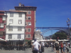  <a style='color: #fff;' href='/uploaded/photo/mondiale-ericeira-2017-598eb096e545d.jpg'>(Télécharger)</a>