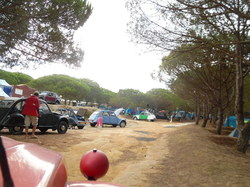  <a style='color: #fff;' href='/uploaded/photo/mondiale-ericeira-2017-598eb0b44035c.jpg'>(Télécharger)</a>