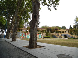  <a style='color: #fff;' href='/uploaded/photo/mondiale-ericeira-2017-598eb0b7c911f.jpg'>(Télécharger)</a>