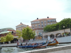  <a style='color: #fff;' href='/uploaded/photo/mondiale-ericeira-2017-598eb0cae8bec.jpg'>(Télécharger)</a>