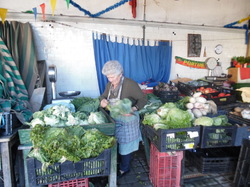  <a style='color: #fff;' href='/uploaded/photo/mondiale-ericeira-2017-598eb112a38b1.jpg'>(Télécharger)</a>