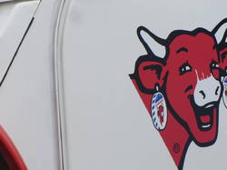  <a style='color: #fff;' href='/uploaded/photo/nationale-2015-la-rochelle-555a58f6eea12.jpg'>(Télécharger)</a>