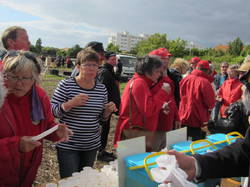  <a style='color: #fff;' href='/uploaded/photo/nationale-2015-la-rochelle-555a59c3c8893.jpg'>(Télécharger)</a>