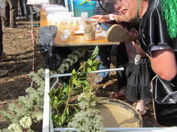  <a style='color: #fff;' href='/uploaded/photo/nationale-2015-la-rochelle-555a59c98146e.jpg'>(Télécharger)</a>