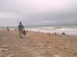  <a style='color: #fff;' href='/uploaded/photo/nationale-2015-la-rochelle-555a5aba04170.jpg'>(Télécharger)</a>