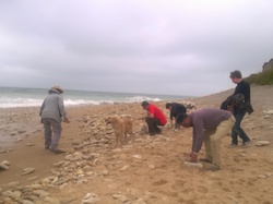  <a style='color: #fff;' href='/uploaded/photo/nationale-2015-la-rochelle-555a5ac27686a.jpg'>(Télécharger)</a>