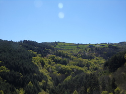  <a style='color: #fff;' href='/uploaded/photo/nationale-2016-5730f00fe376f.jpg'>(Télécharger)</a>