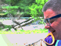  <a style='color: #fff;' href='/uploaded/photo/nationale-2016-5730f2f85360d.jpg'>(Télécharger)</a>