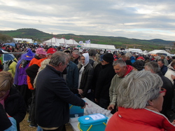  <a style='color: #fff;' href='/uploaded/photo/nationale-2016-5730f439d6631.jpg'>(Télécharger)</a>